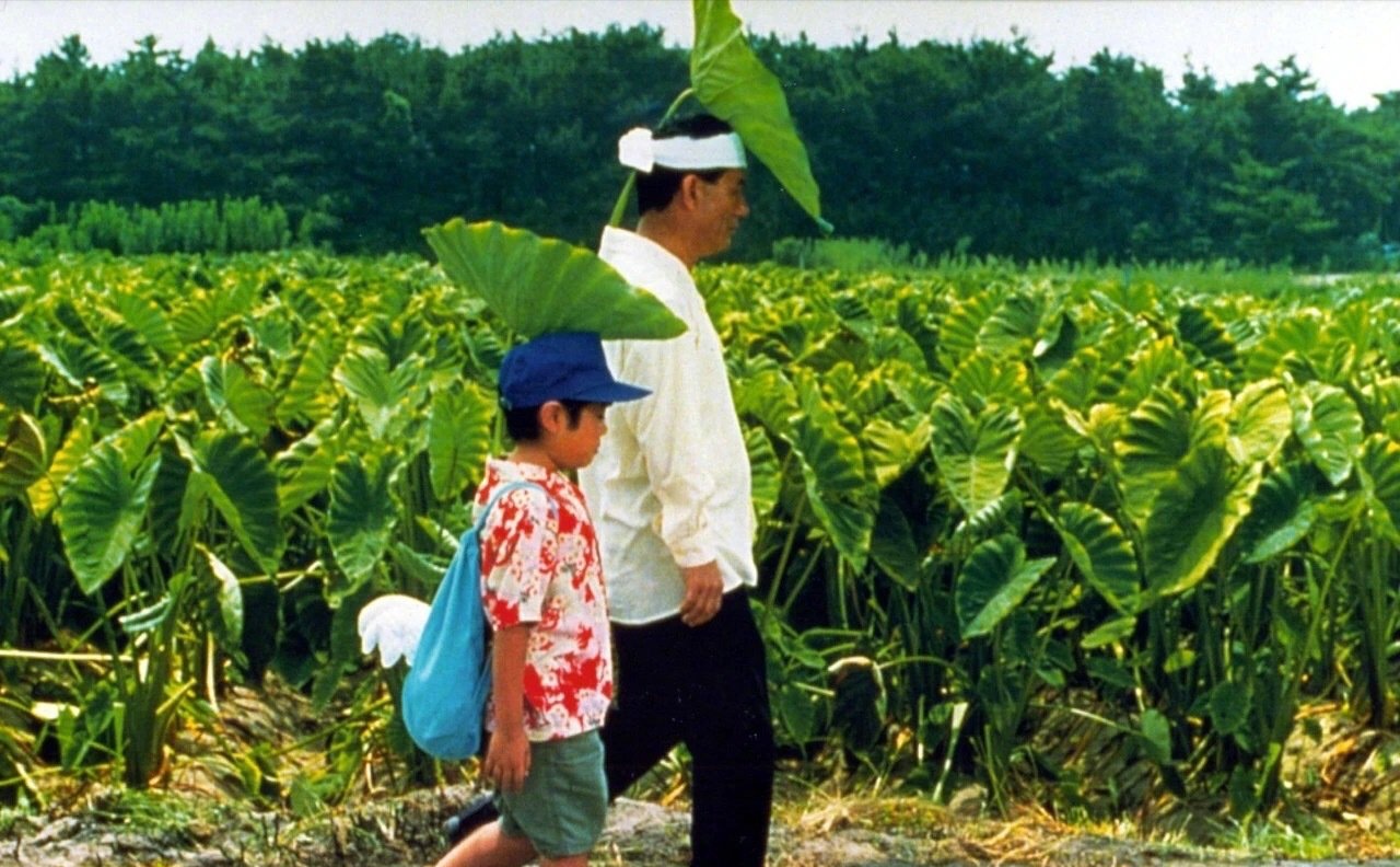 《西小河的夏天》《菊次郎的夏天》——跟着我回到那个难忘的童年