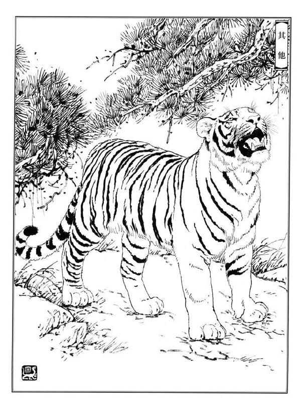 如何把虎画的虎虎生威，画出虎的气势？