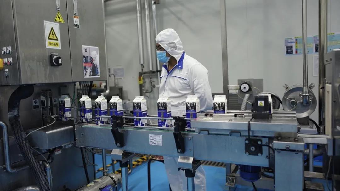 唯品牛乳是全脂奶吗,朝日唯品牛奶口感