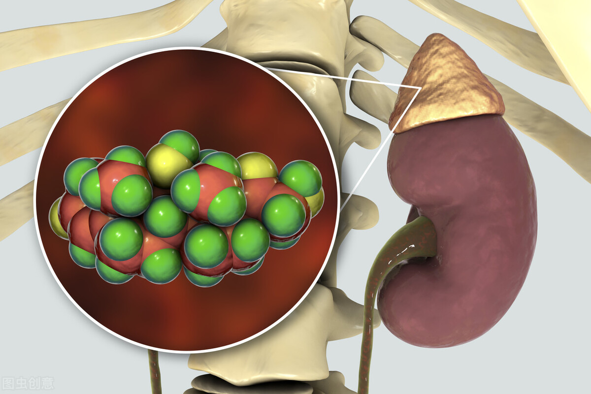 只需30秒教你看懂尿常规,10秒教你看尿常规