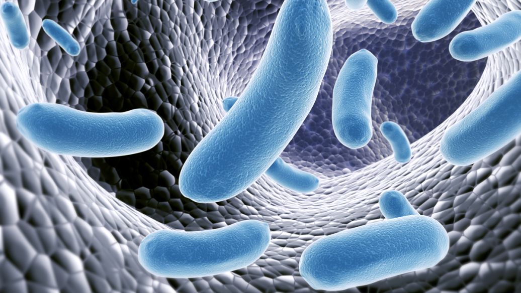 广东江门曝光21批次问题食品，包括水产鱼类、糕点、禽肉食品