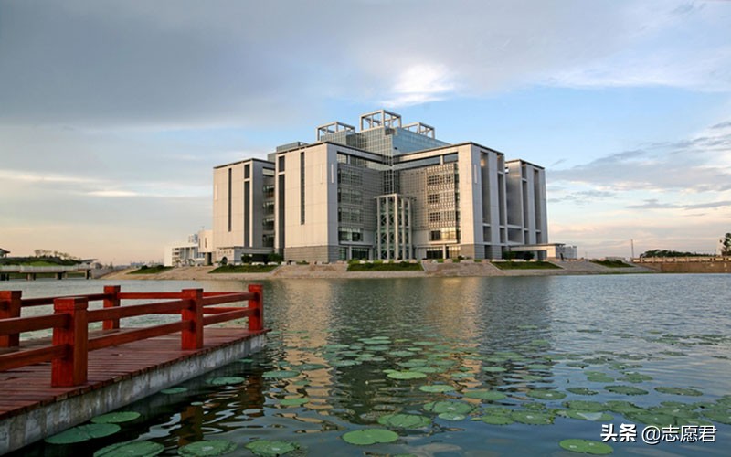 105名新生放弃入学原因,105名本科新生被放弃入学资格