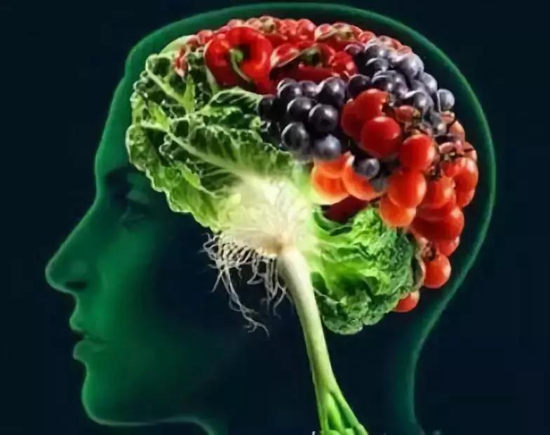 让人着迷的东西,微生物脑肠轴介绍