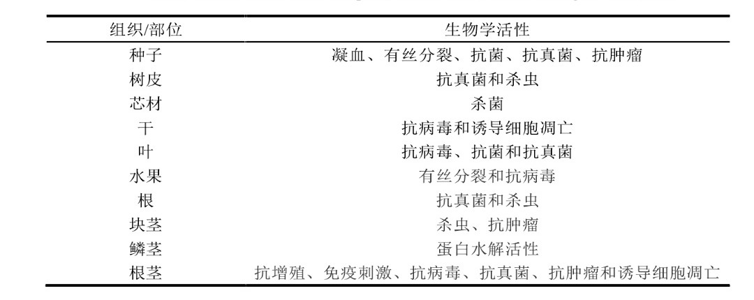 四季豆轻微中毒会头晕,四季豆轻微中毒症状怎么处理