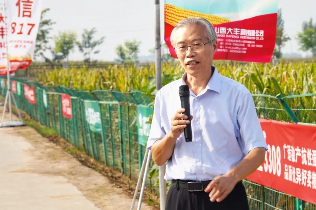 单倍体育种详细过程,提高玉米育种效率的技术途径探析