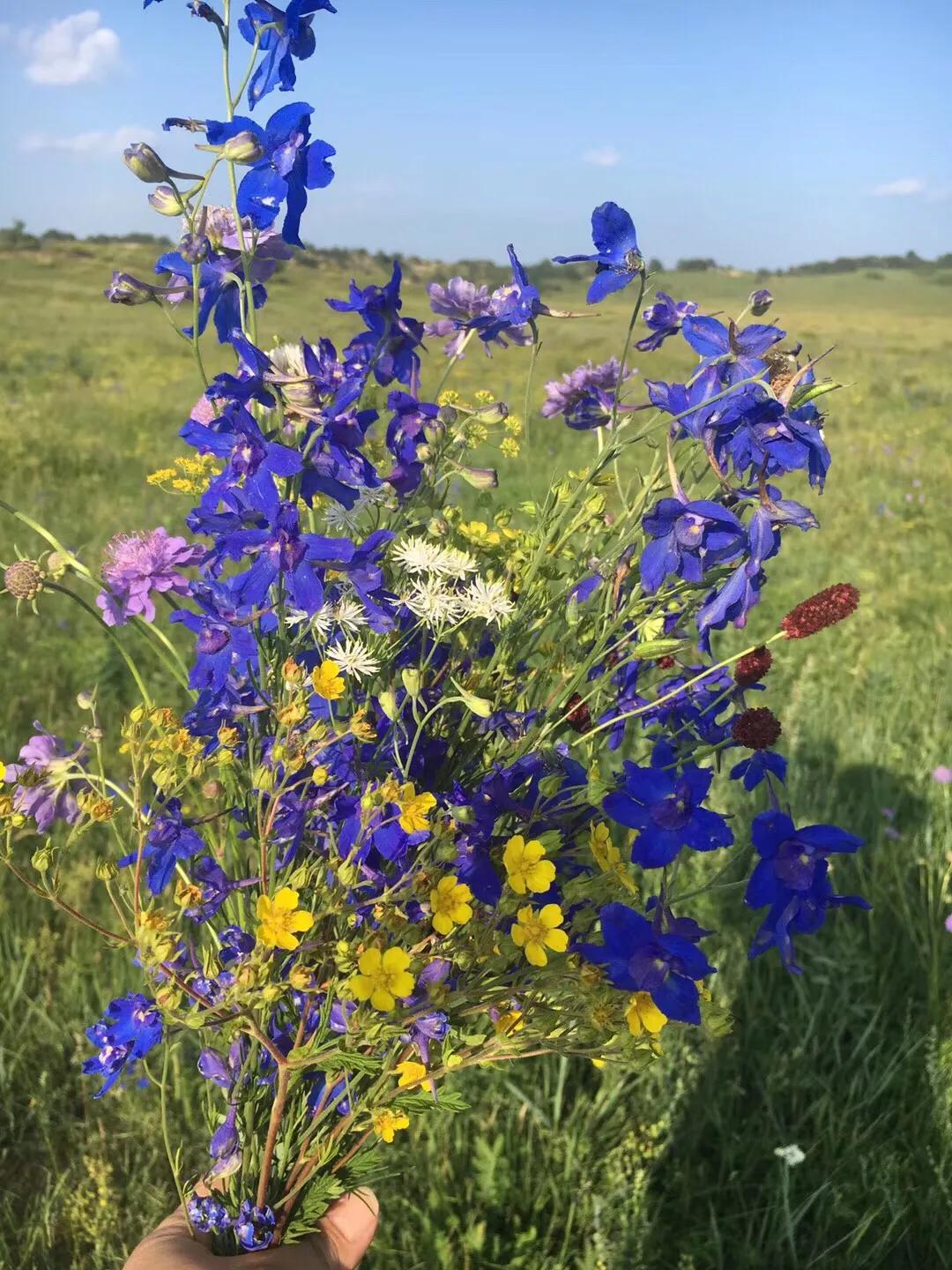 张北天路乌兰布统攻略,天津张北草原天路自驾游攻略