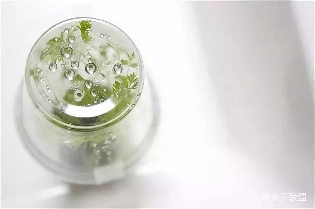 科学实验好奇心,科学入门小实验