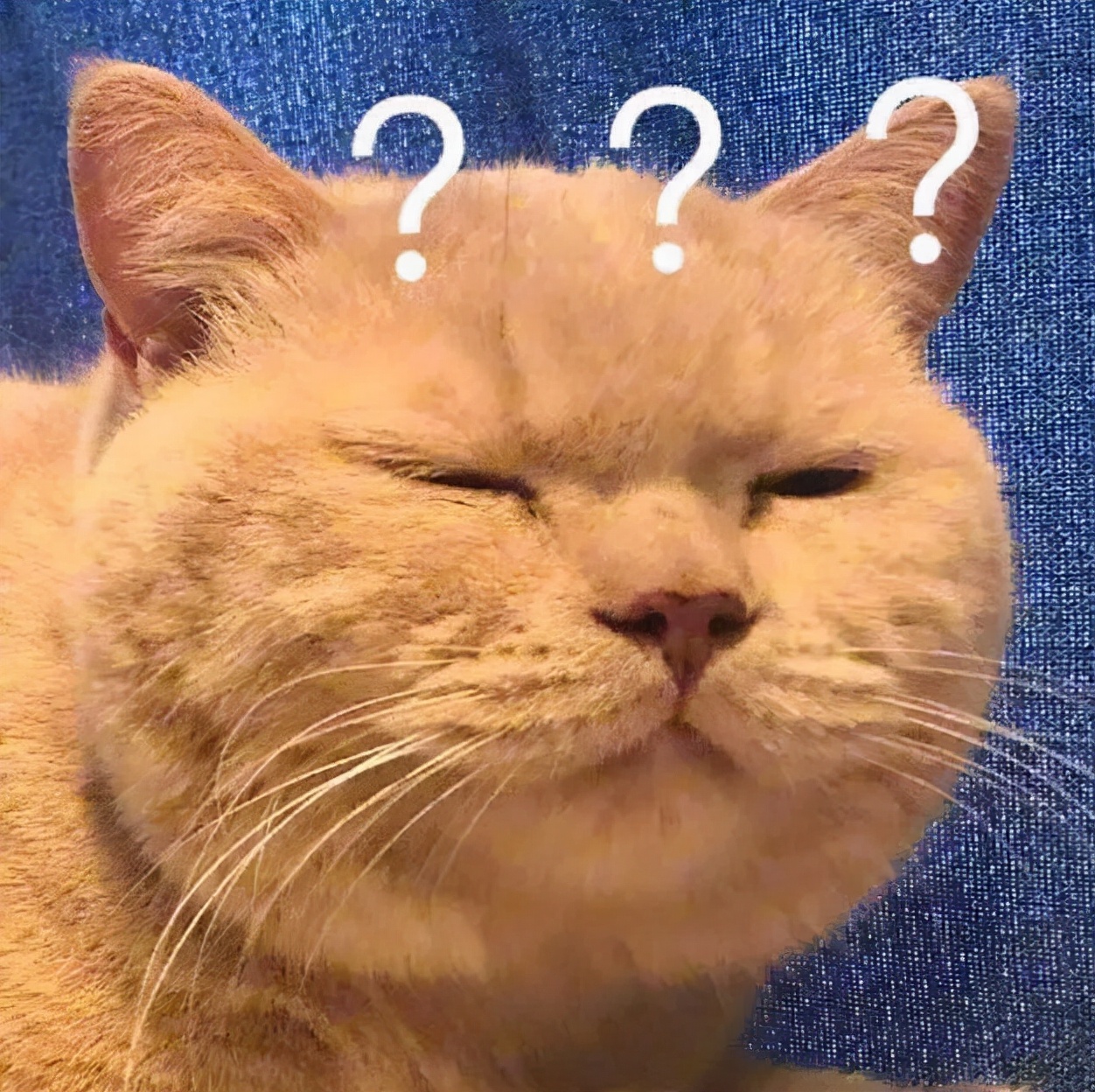 冬奥会宣传片齐天大圣,最新冬奥会宣传片