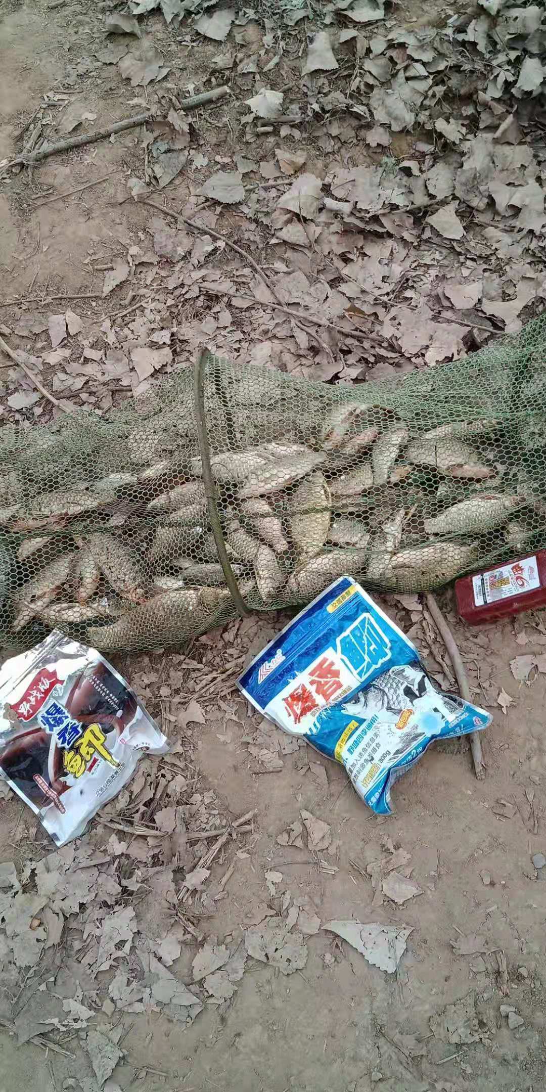 让生活添点乐趣,让生活多一点丰富多彩