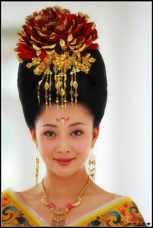 杨玉环先嫁唐玄宗儿子再嫁唐玄宗,杨玉环是被迫嫁给唐玄宗的吗