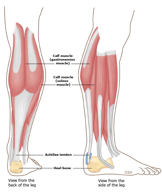 跑步跟腱炎疼怎么恢复,跑步跟腱炎的症状和治疗