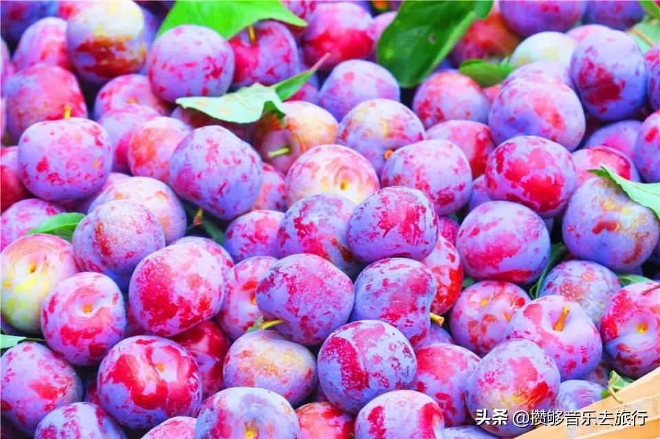 四川阿坝我的家乡,我的家乡汶川特色美景