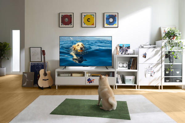 智能电视深度评测55英寸,智能电视配置详解