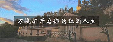 阿根廷阿泰斯马尔贝克红酒,阿根廷的葡萄酒怎么样