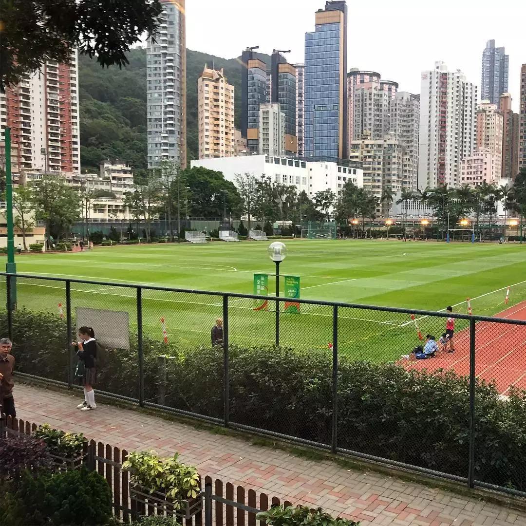结束逛吃逛吃的香港之旅,香港自由行一日游逛吃攻略