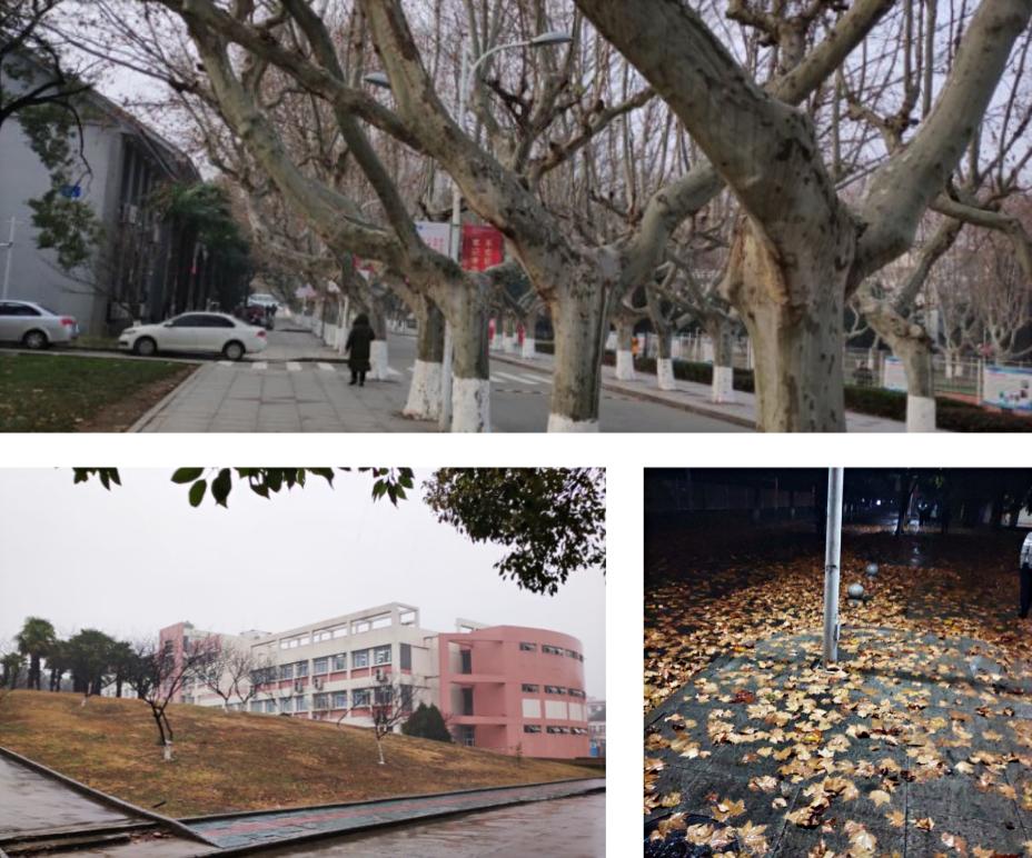 我和蓝桥杯的那两年