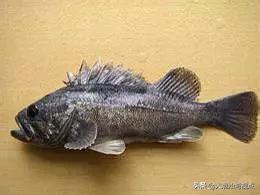 作为潮汕人，这89种海鲜你都能对上号吗