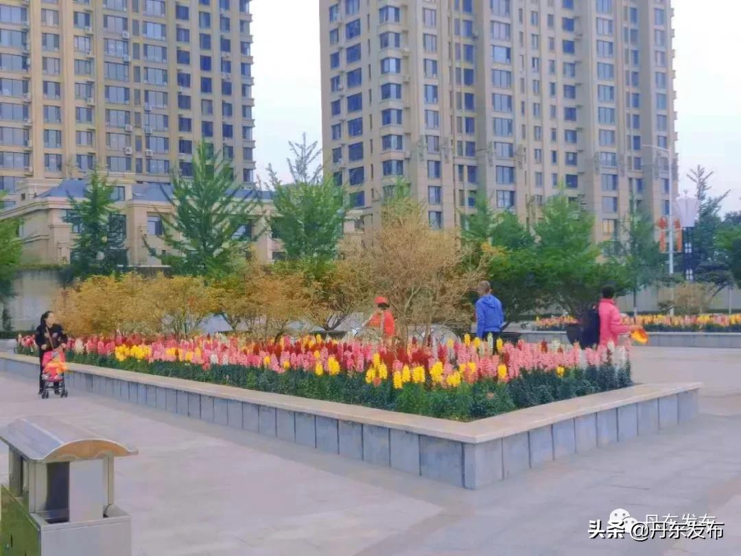 健身游泳两不误,健身娱乐两不误