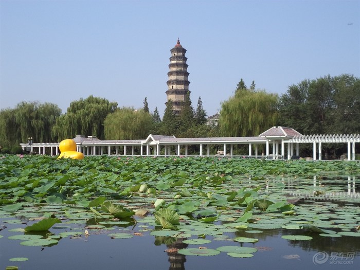 为什么要留在城市,为什么要留在家乡