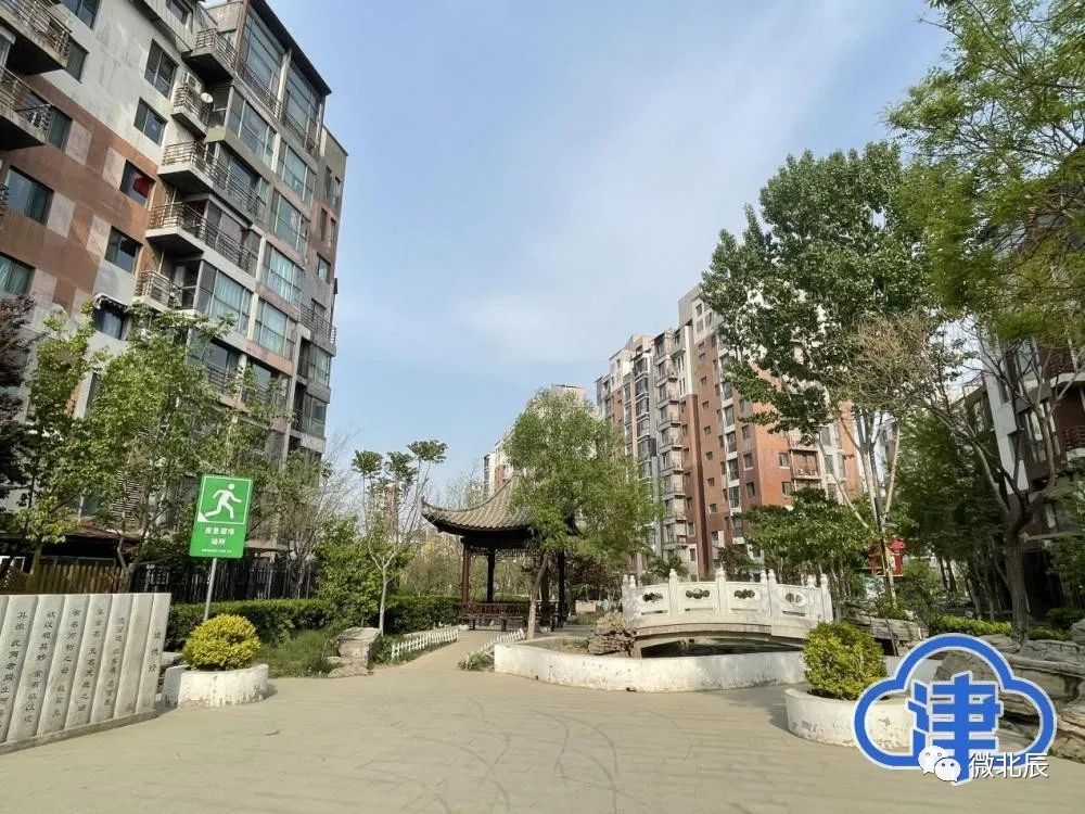 市级媒体聚焦“天津楷模”|北辰区瑞景街宝翠花都社区*党**总支书记、居委会主任林则银