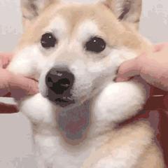 平价冬季面霜,冬季保湿补水面霜十大排名