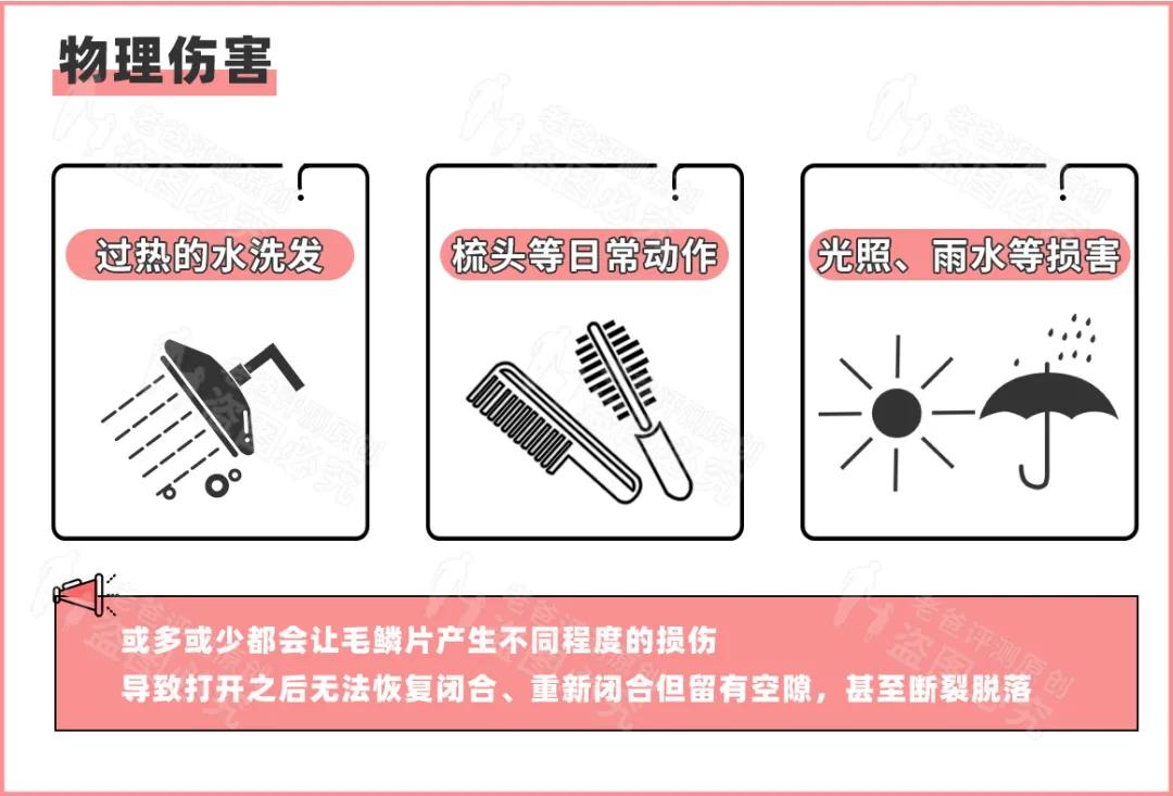 护发精油推荐测评且不伤头发,9款热门护发精油测评