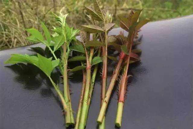 舌尖上的美食儿时的味道找了好久,有一种美食叫做童年回忆