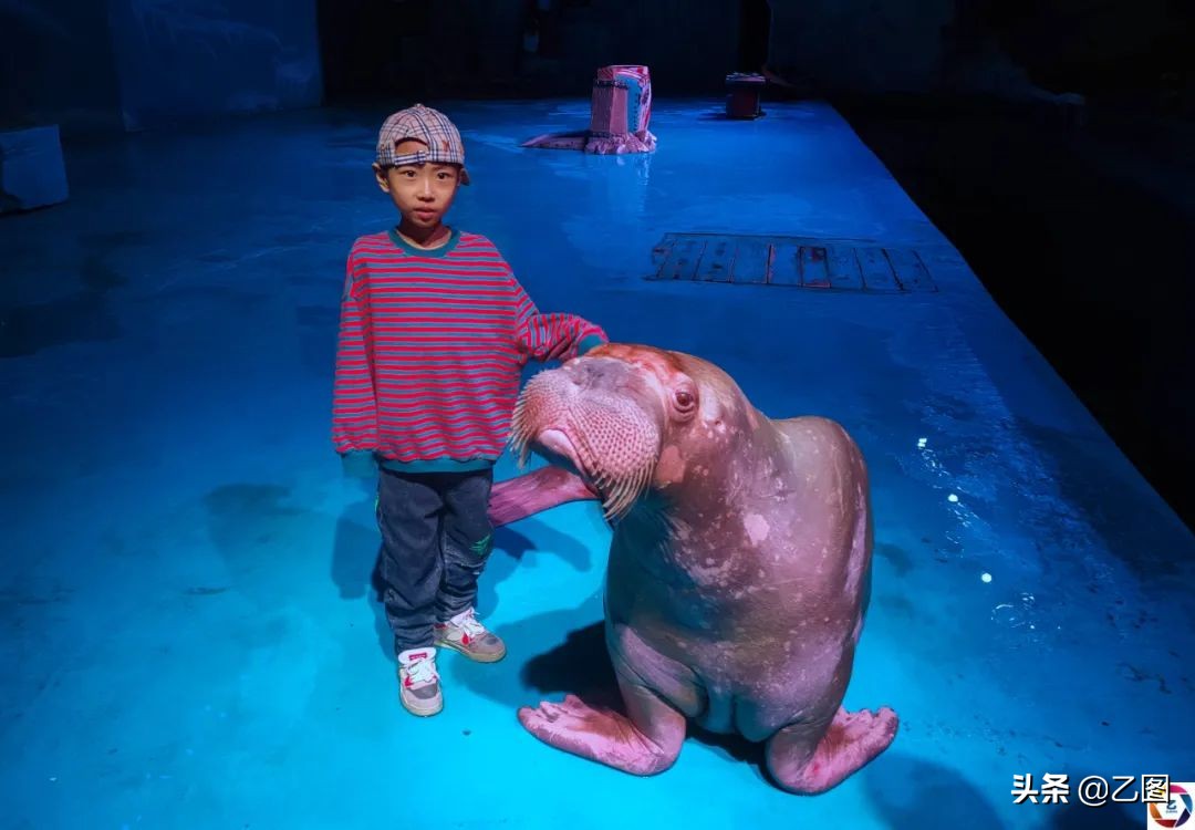 孩子四年经历三次手术,男孩4次开腹手术