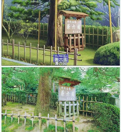 去日本看樱花的攻略,日本人第一次到中国看最大的樱花