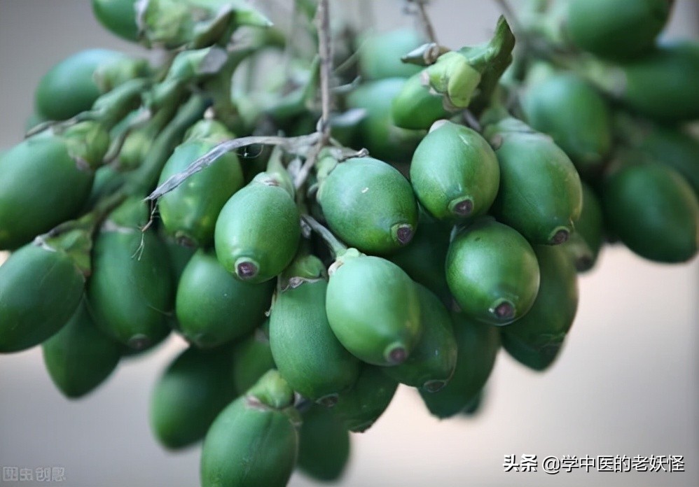 每天学习一味中药视频,槟榔中药方子