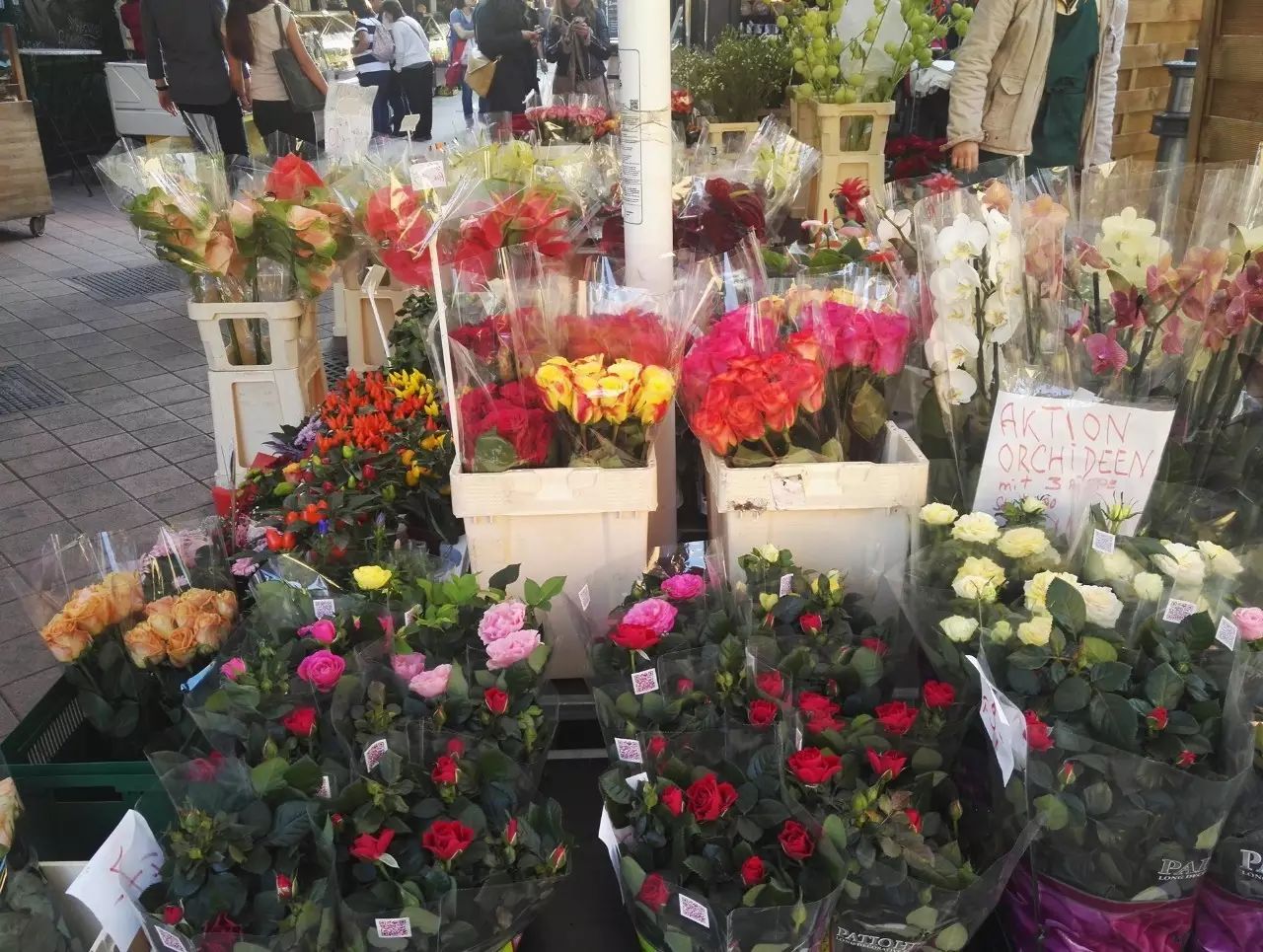 交换手记：皇家墓穴勘探笔记