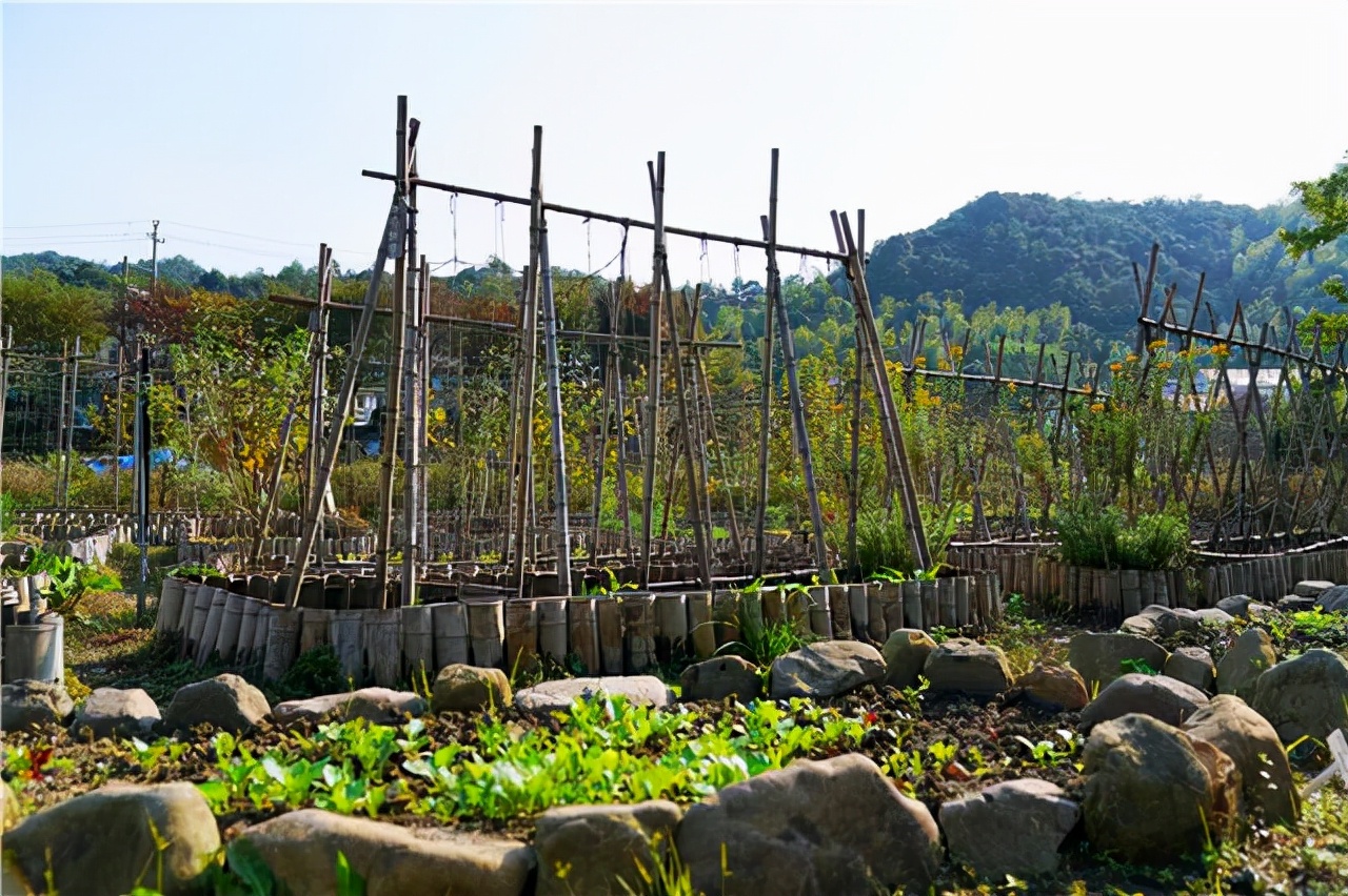 鑾共灞辨繁绉嬫父,娣辩涓庤帿骞插北鏃呮父