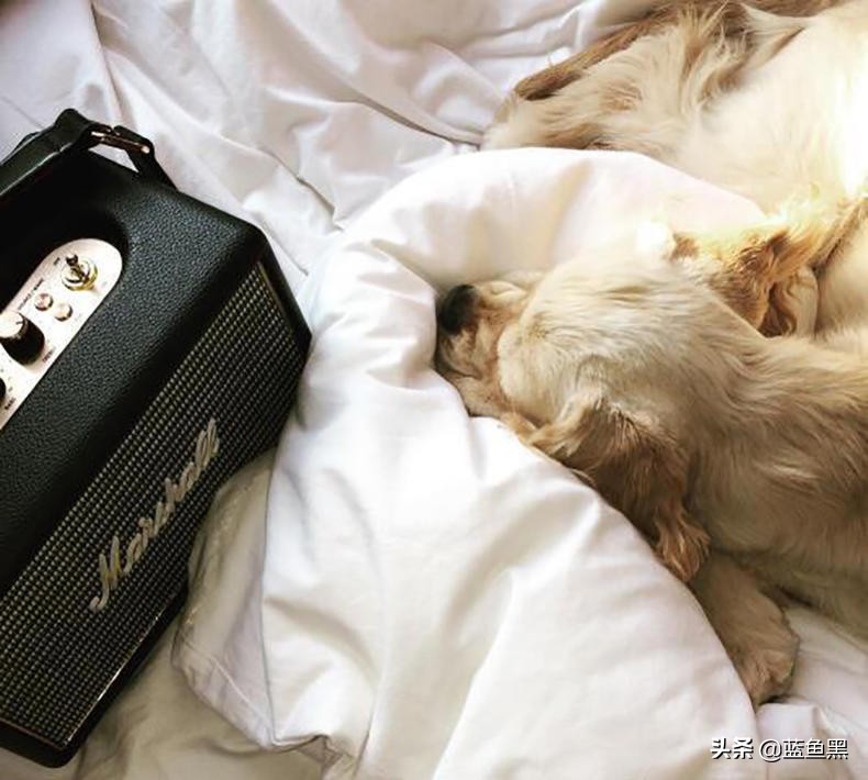 闺蜜送什么蓝牙音箱比较好,适合送闺蜜的蓝牙音箱