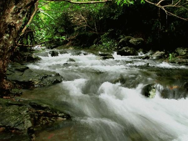 100张会动照片,30张罕见且迷人的图片