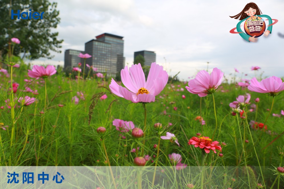 为爱前行，拥抱孩子成长之路，《拥抱吧爸爸》沈阳站