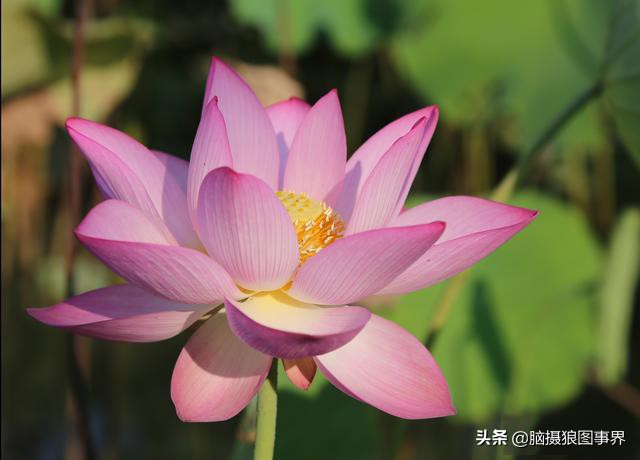 ps摄影后期软件工具使用教程,摄影ps后期工具栏设置