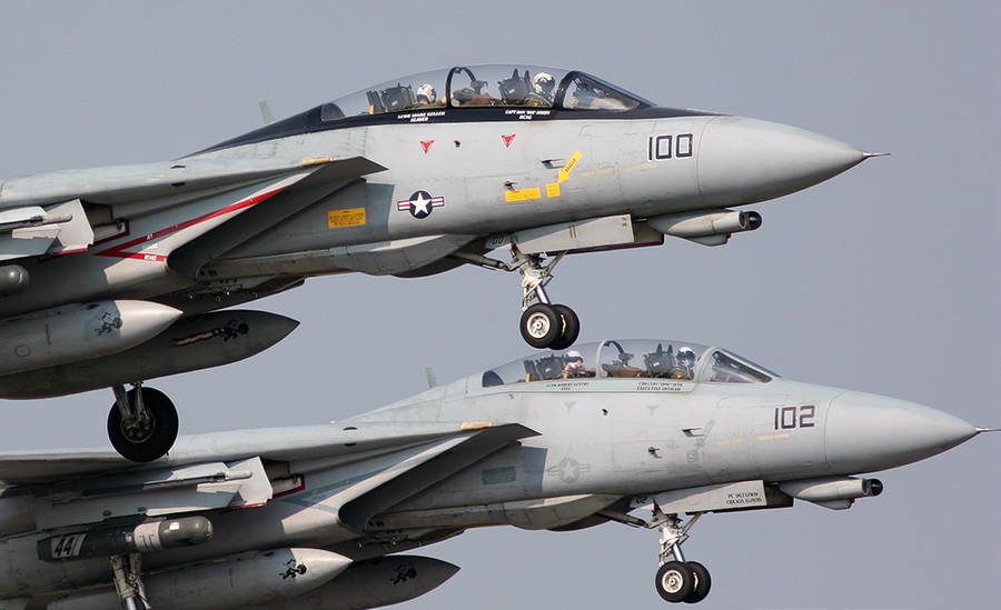 猫迷必备技能,F-14各型号的辨别