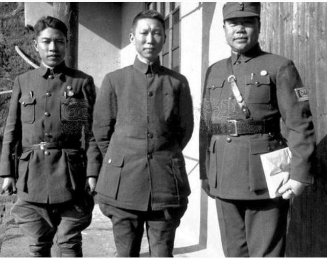 万家岭大捷为何称为三大战役之一,万家岭大捷东方战场全歼106师团