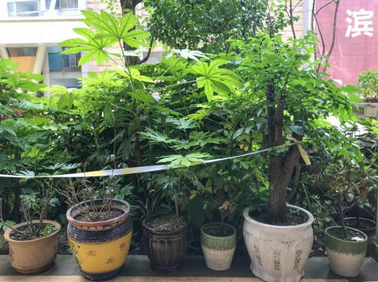 贵阳各小区物业费,贵阳山水黔城物业服务电话