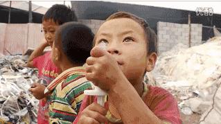 全国人民看江浙沪,上海垃圾分类现在怎样了