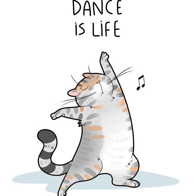 沙雕猫片，笑到床塌！自从做了卑微的铲屎官，比一个人时刺激多了