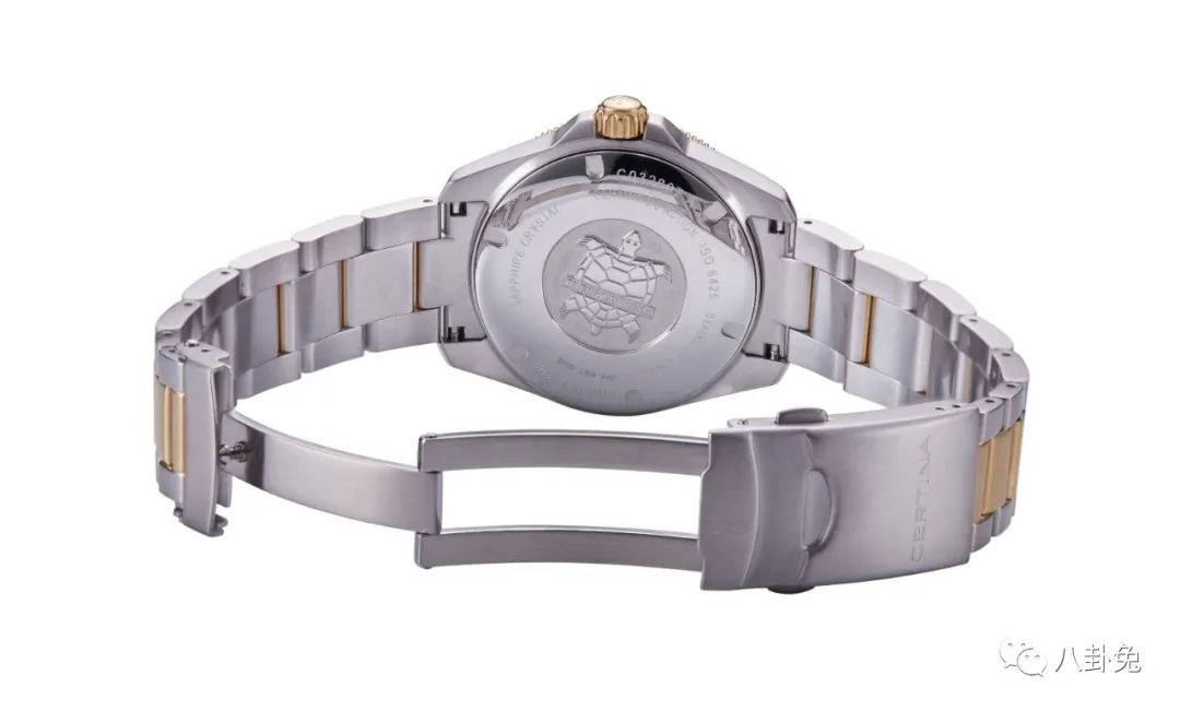 雪铁纳一万以上的表,5000左右的潜水表