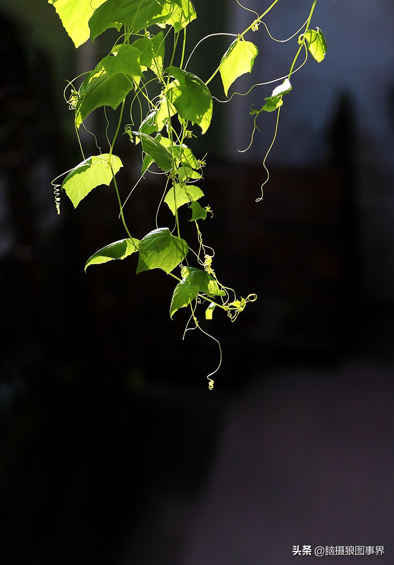 佳能6d现在有新的吗,佳能6d相机寿命多少时间