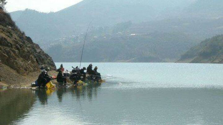 4.5米鱼竿和5.4米的鱼竿哪个实用,4.5米鱼竿和6米3米的鱼竿哪个实用