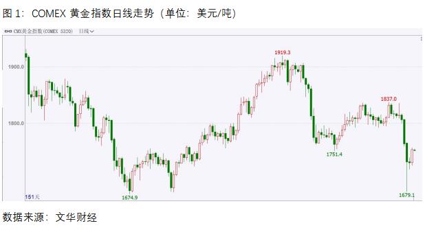 多头金价后市走势,多头看到的走势