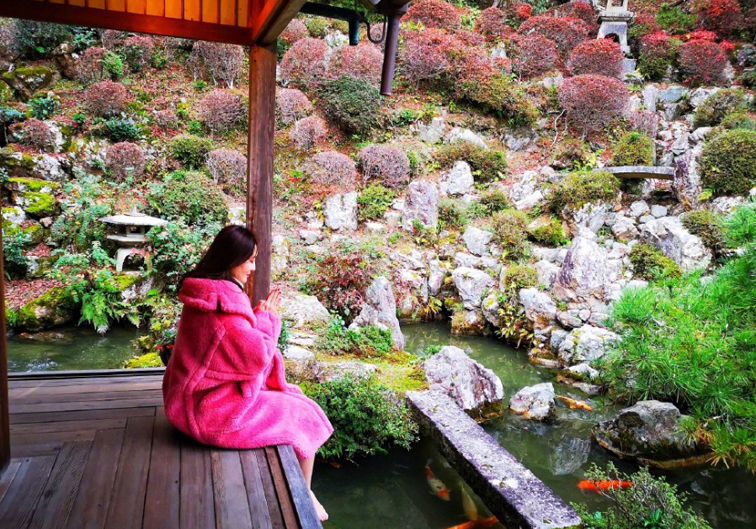 杨旭将狗粮撒到日本！深吻娇妻+盛赞球迷：真是丧心病狂的秀恩爱