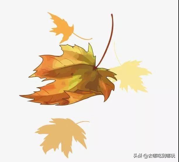 贝迪温泉团购门票,重庆贝迪温泉门票价格