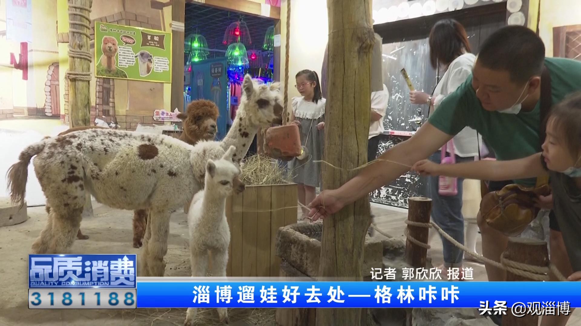 淄博动物乐园,淄博有动物的地方