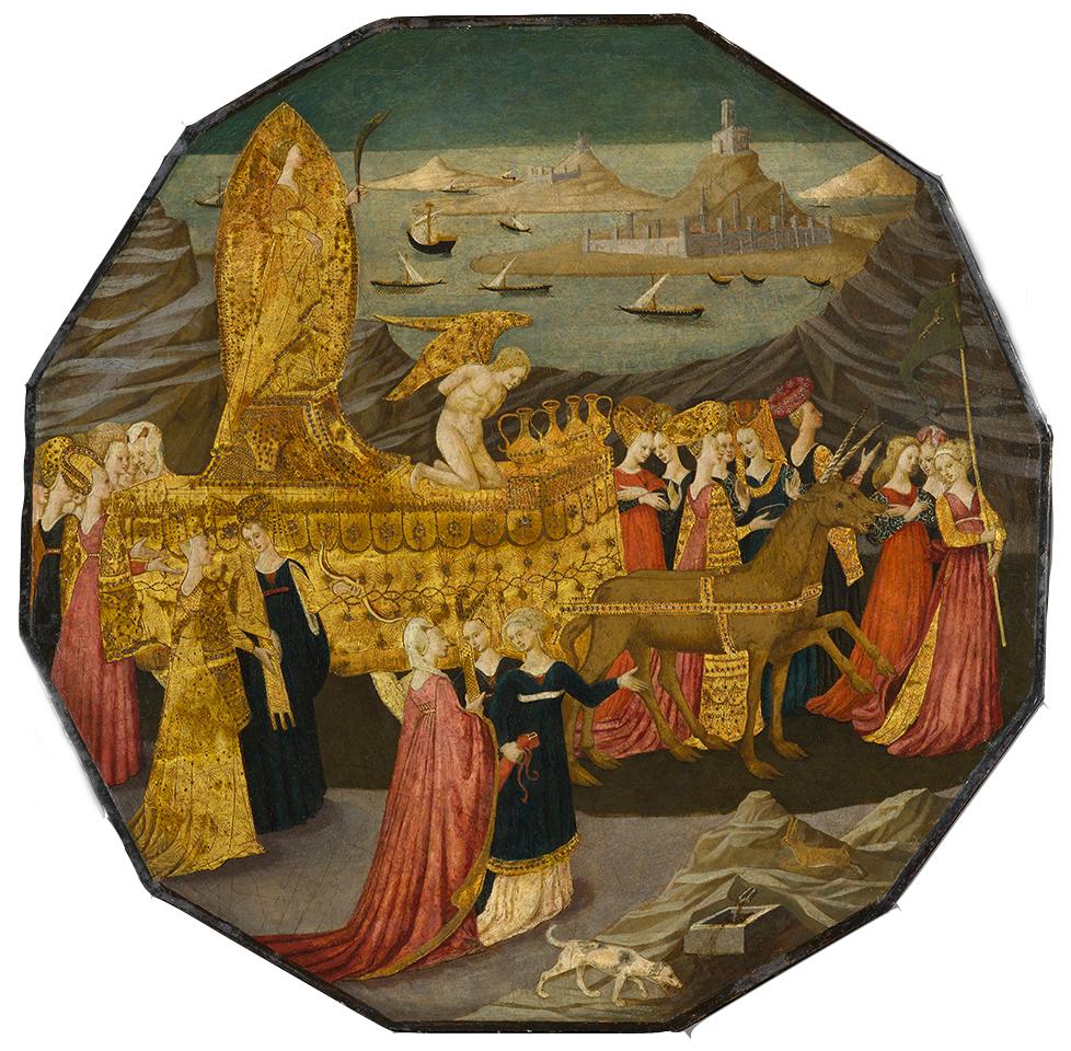 传说中的独角兽是否存在过 (独角兽真实存在的证据)