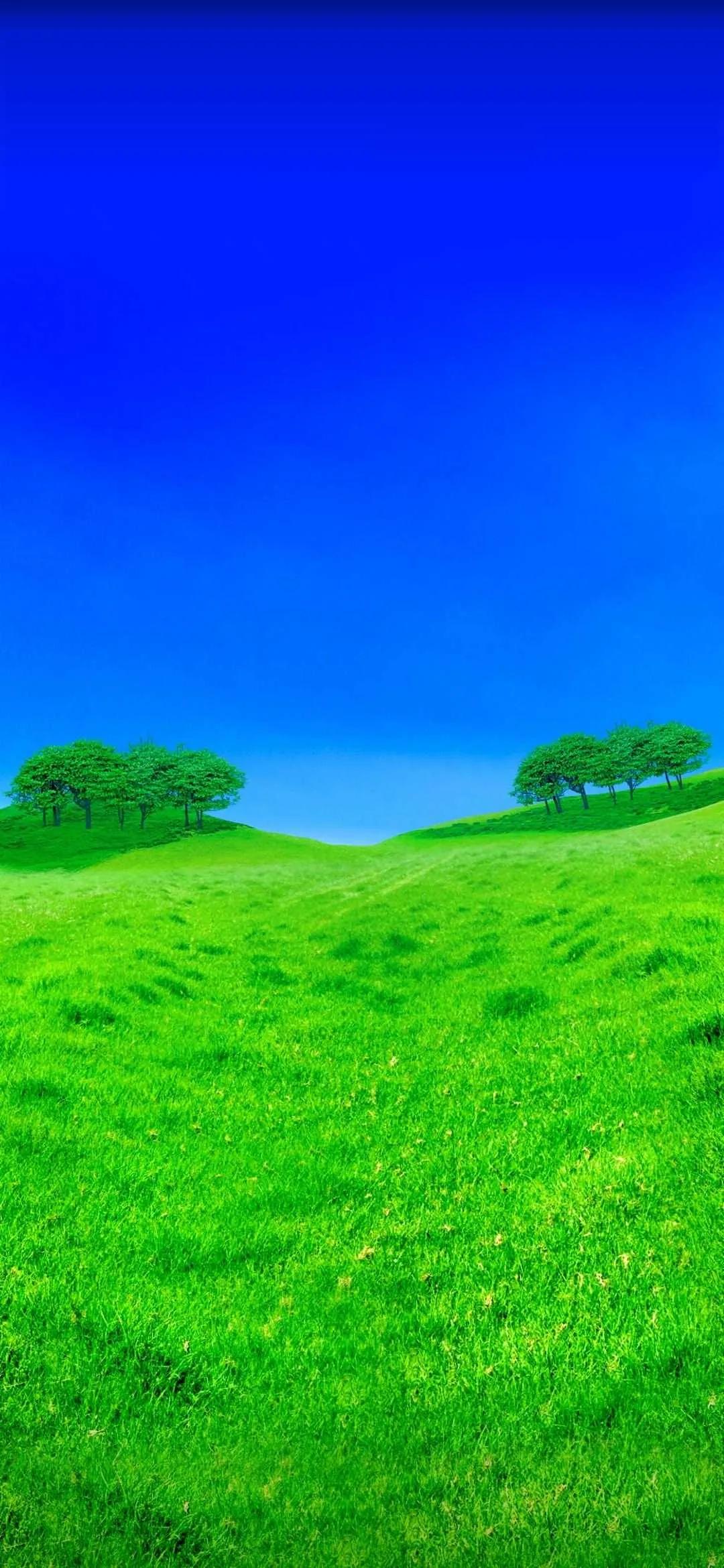 精美手机壁纸真是太美了,清晰到极致的手机壁纸图